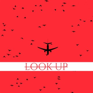 Look Up