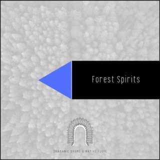 Forest Spirits: Native American Tunes