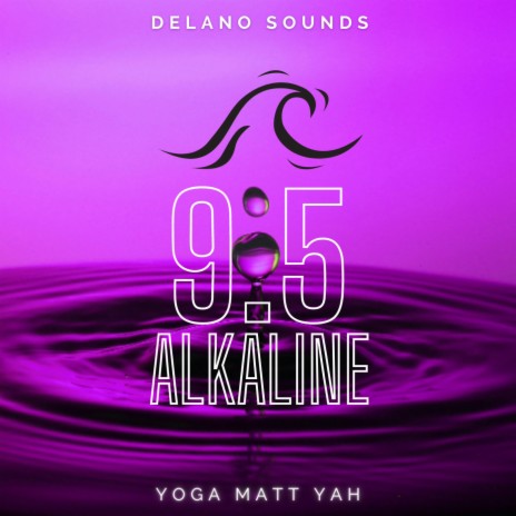 9.5 Alkaline | Boomplay Music
