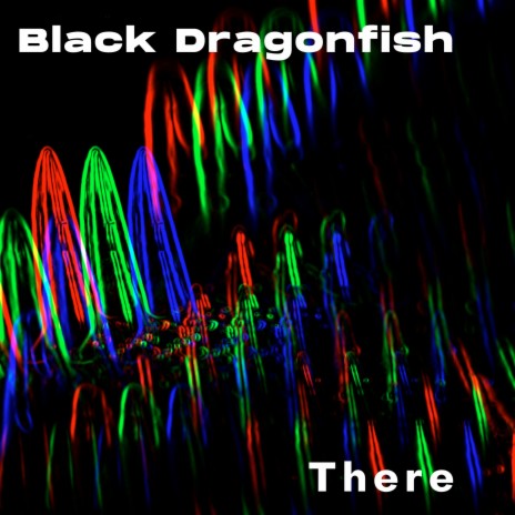 Black Dragonfish