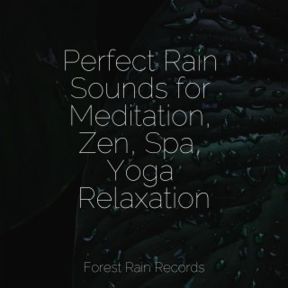 Soothing Chill Out for Insomnia