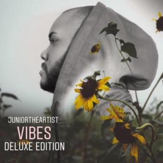 Vibes: The Debut Album (2018)