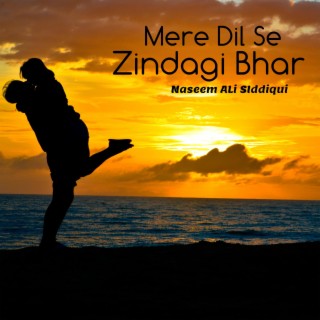 Mere Dil Se Zindagi Bhar Tera Pyar Kam Na Hoga