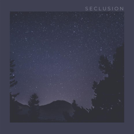 Seclusion | Boomplay Music