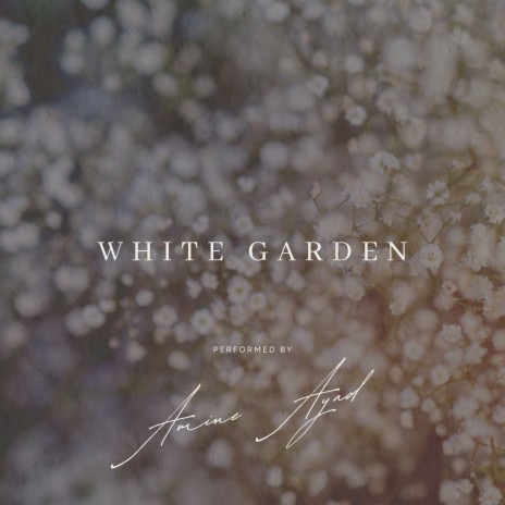 White Garden | Boomplay Music