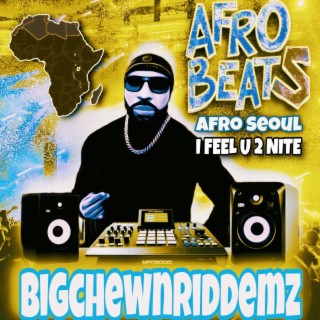 AFRO SEOUL / I FEEL U 2 NITE RIDDEM