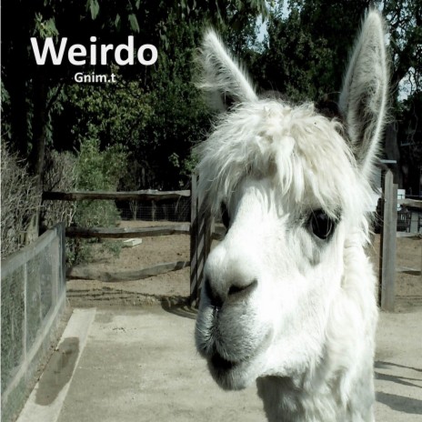 Weirdo | Boomplay Music