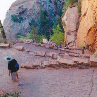 The Desert Spring Pool