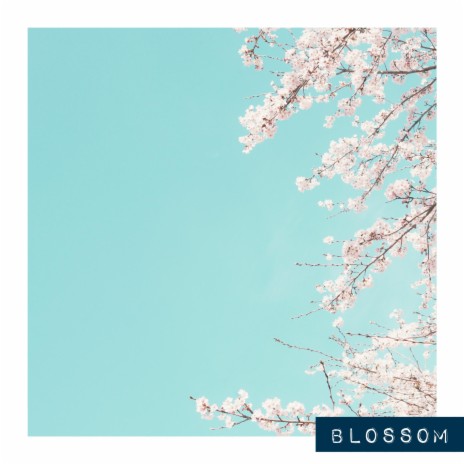 Blossom | Boomplay Music