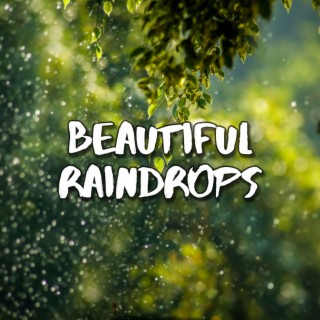 Beautiful Raindrops