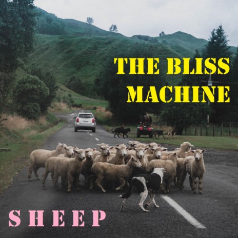 Sheep (Raving & Drooling)