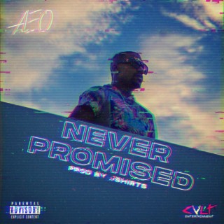 Never Promised lyrics | Boomplay Music