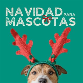 Navidad para Mascotas: Música Navideña Relajante para Aliviar la Ansiedad en Perros y Gatos