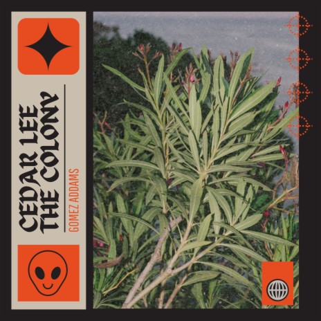 Cedar Lee the Colony | Boomplay Music