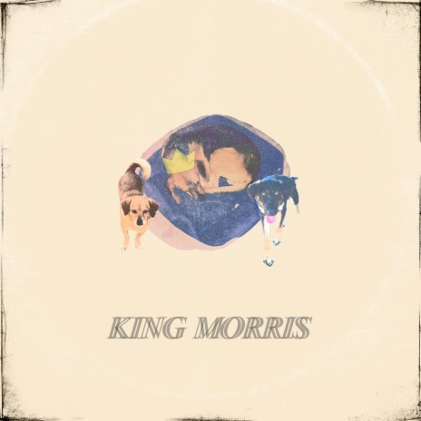King Morris | Boomplay Music
