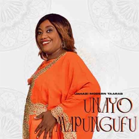 Unayo Mapungufu | Boomplay Music