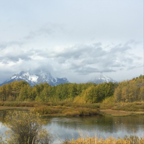 Wild in Wyoming | Boomplay Music