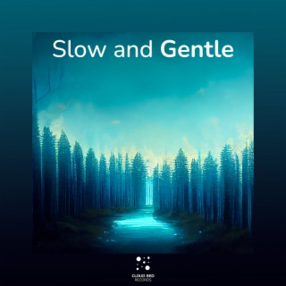 Slow and Gentle