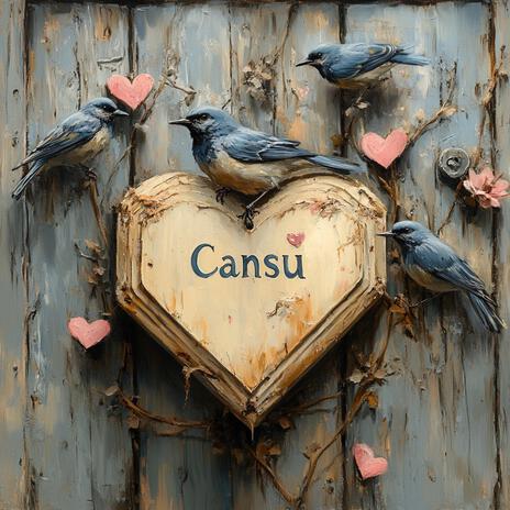 Cansu