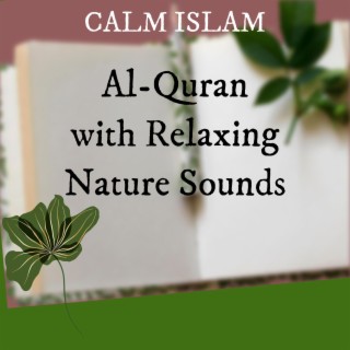 Calm Islam
