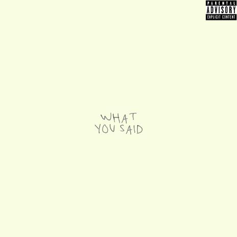 What You Said | Boomplay Music