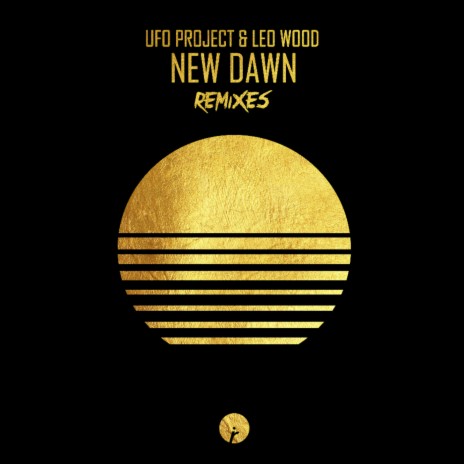 New Dawn (Hidden Face Remix) ft. Leo Wood | Boomplay Music