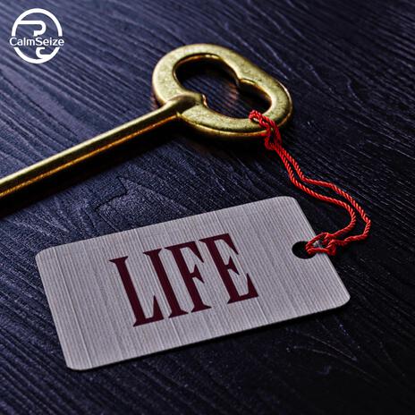 LIFE | Boomplay Music