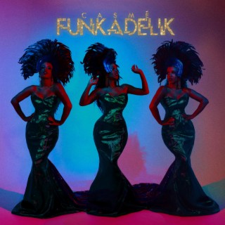 Funkadelik lyrics | Boomplay Music