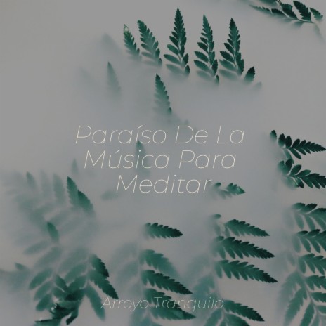 Sensación De Calma ft. Rising Higher Meditation & New Age | Boomplay Music