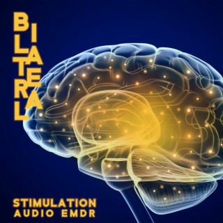 Bilateral Stimulation: Audio EMDR, DMT Music for Sleep & Release Stress, Anxiety and Fear, Flow State Music