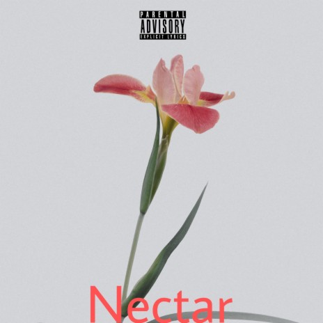 Nectar | Boomplay Music