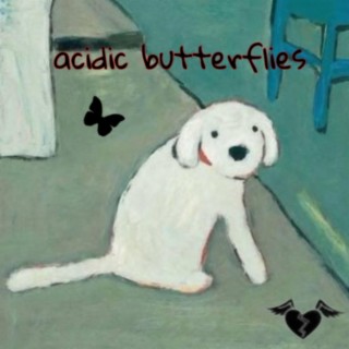 acidic butterflies