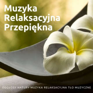 Muzyka Relaksacyjna Przepiękna: Odgłosy Natury Muzyka Relaksacyjna Tło Muzyczne