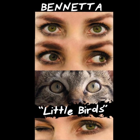 Little Birds | Boomplay Music