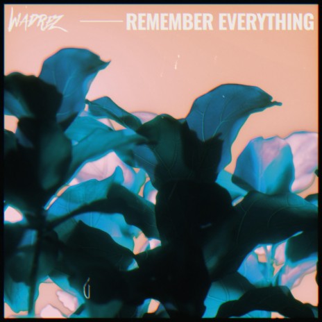 Remember Everything | Boomplay Music