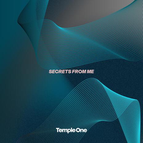 Secrets from Me (Extended Mix) | Boomplay Music