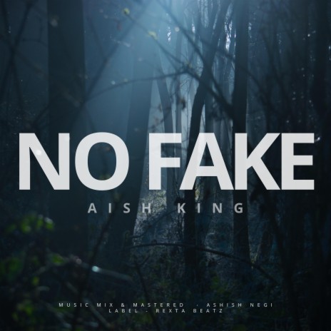 No Fake | Boomplay Music