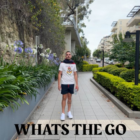 Whats the go | Boomplay Music