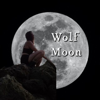 Wolf Moon lyrics | Boomplay Music
