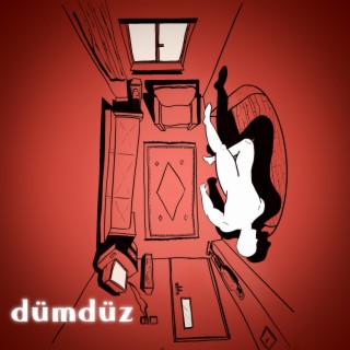 Dümdüz 3