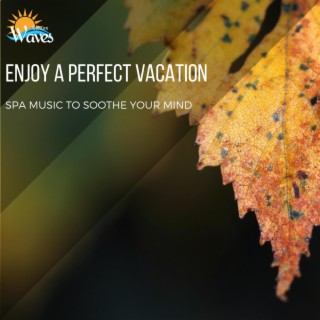 Enjoy a Perfect Vacation - Spa Music to Soothe Your Mind