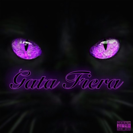 GATA FIERA | Boomplay Music