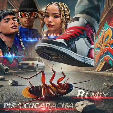 Pisa Cucaracha (Remix) ft. Yova Perreo & Ariana Dance | Boomplay Music