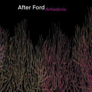 After Ford