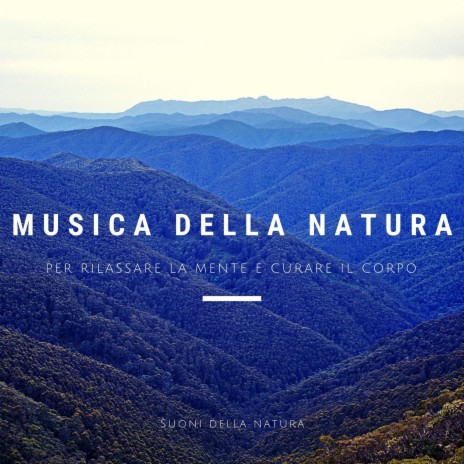 Musica della natura