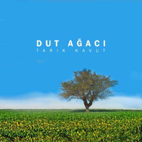 Dut Ağacı | Boomplay Music