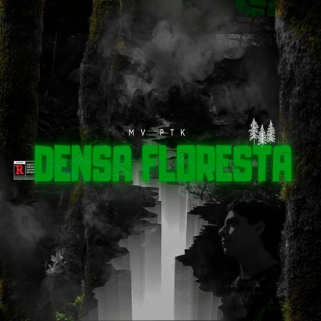 Densa Floresta | Boomplay Music