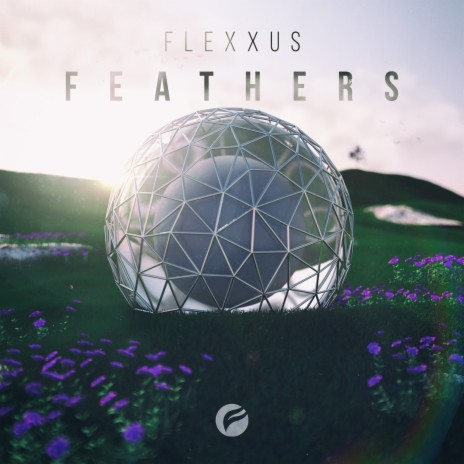 Feathers | Boomplay Music