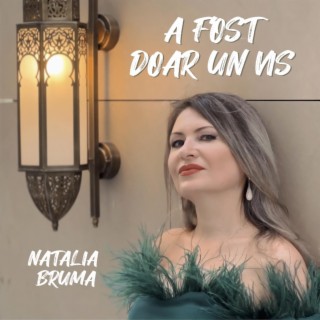 A fost doar un vis ft. Radu Zaplitnii lyrics | Boomplay Music