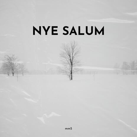 Nye Salum | Boomplay Music